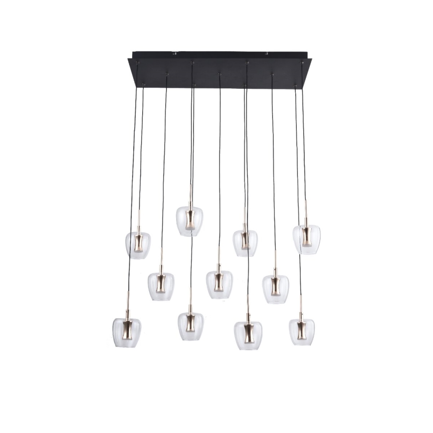 Zuma Line - LED lestenec na vrvici 11xLED/3W/230V črna