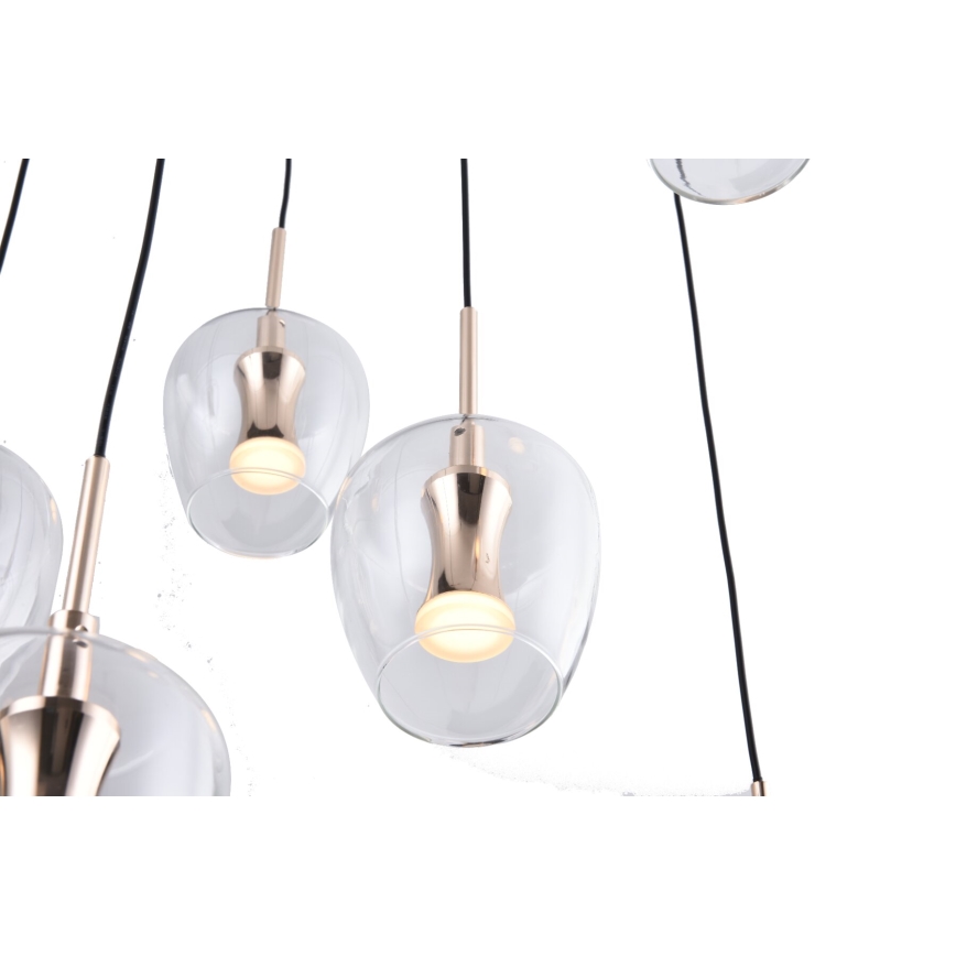 Zuma Line - LED lestenec na vrvici 11xLED/3W/230V črna