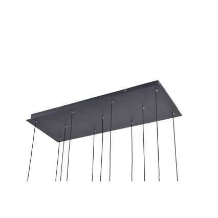 Zuma Line - LED lestenec na vrvici 11xLED/3W/230V črna