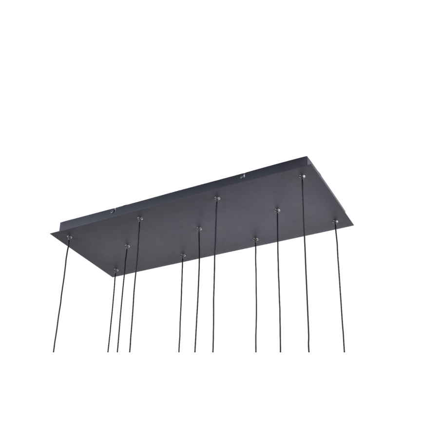 Zuma Line - LED lestenec na vrvici 11xLED/3W/230V črna