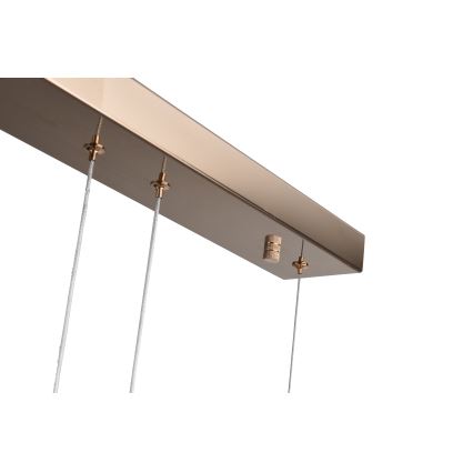 Zuma Line - LED lestenec na kablu LED/36W/230V rožnato zlato