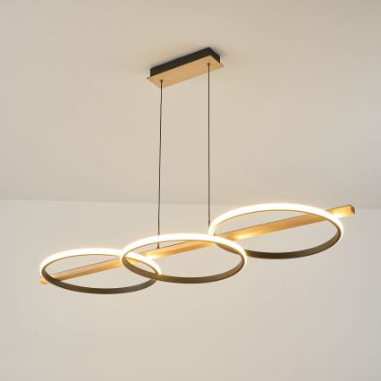 Zuma Line - LED Zatemnitveni lestenec na vrvici LED/35W/230V