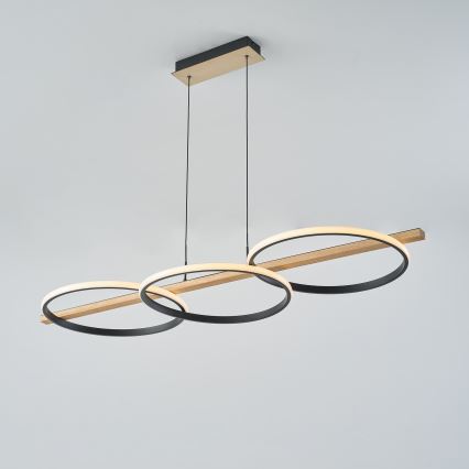 Zuma Line - LED Zatemnitveni lestenec na vrvici LED/35W/230V