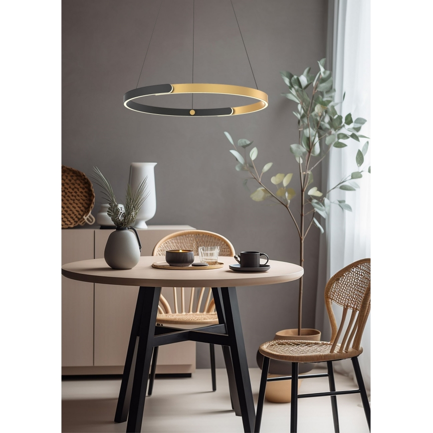 Zuma Line - LED Zatemnitveni lestenec na vrvici LED/30W/230V črna/zlata
