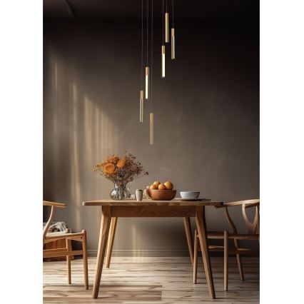 Zuma Line - LED Zatemnitveni lestenec na vrvici LED/25W/230V