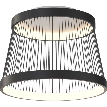 Zuma Line - LED Zatemnitvena stropna svetilka LED/32W/230V 2700-6000K črna + Daljinski upravljalnik