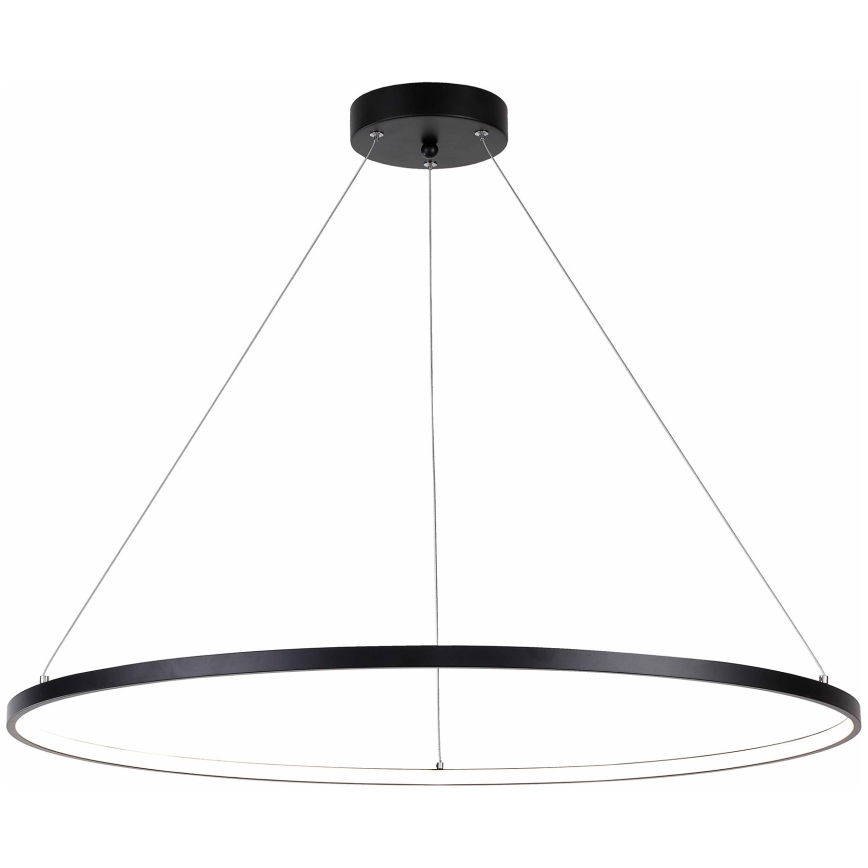 Zuma Line - LED Lestenec na vrvici LED/40W/230V 3000/4000/6000K pr. 90 cm črna
