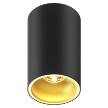 Zuma Line - Reflektor 1xGU10/50W/230V črna/zlata