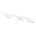 Zuma Line - Спот світильник у рейковій системі 3xGU10/35W/230V білий