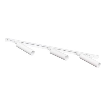Zuma Line - Спот світильник у рейковій системі 3xGU10/35W/230V білий