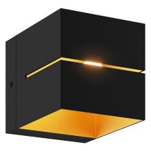 Zuma Line - Stenska svetilka 1xG9/40W/230V črna/zlata