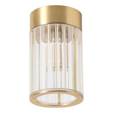 Zuma Line - Točkovna svetilka 1xG9/6W/230V zlata