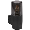 Zunanja stenska svetilka 1xE27/40W/230V IP44 črna/dimljena