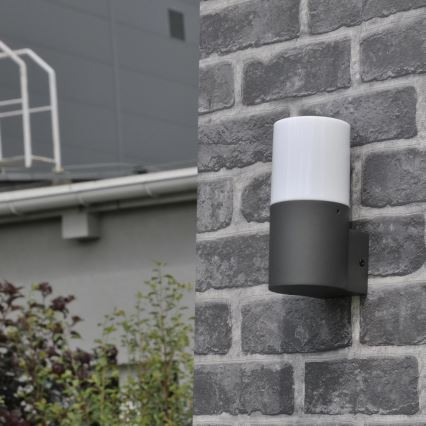 Zunanja stenska svetilka DALLAS 1xE27/12W/230V IP44 grafit