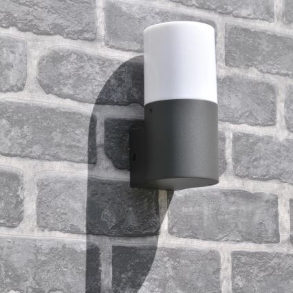 Zunanja stenska svetilka DALLAS 1xE27/12W/230V IP44 grafit
