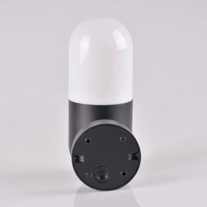 Zunanja stenska svetilka HORTEN 1xE27/10W/230V IP44