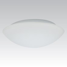 Zunanja stenska svetilka KAROLINA 2xE27/60W opalno steklo IP44