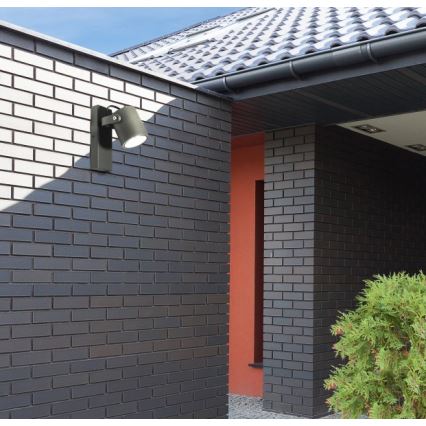 Zunanja stenska svetilka PINO 1xGU10/10W/230V IP44