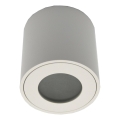 Zunanja stropna svetilka FARA 1xGU10/50W/230V IP54 bela