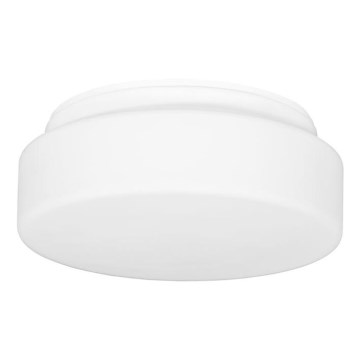 Zunanja stropna svetilka HECTOR 1xE27/60W/230V pr. 25 cm IP44 opal bela