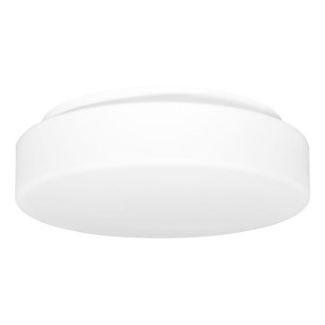 Zunanja stropna svetilka HECTOR 1xE27/60W/230V pr. 30 cm IP44 opal bela