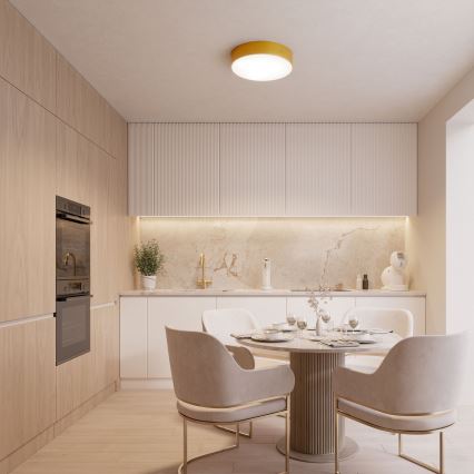 Zunanja stropna svetilka s senzorjem CLEO 2xE27/24W/230V pr. 30 cm zlata IP54