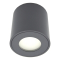 Zunanja točkovna svetilka FARA 1xGU10/30W/230V IP54 črna
