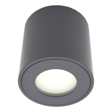 Zunanja točkovna svetilka FARA 1xGU10/30W/230V IP54 črna