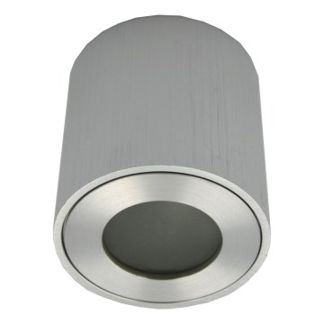 Zunanja točkovna svetilka FARA 1xGU10/30W/230V IP54 srebrna