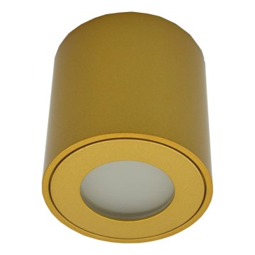 Zunanja točkovna svetilka FARA 1xGU10/30W/230V IP54 zlata