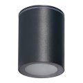 Zunanje točkovno svetilo AQILO 1xGU10/7W/230V IP65 antracit
