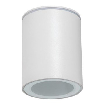 Zunanje točkovno svetilo AQILO 1xGU10/7W/230V IP65 belo