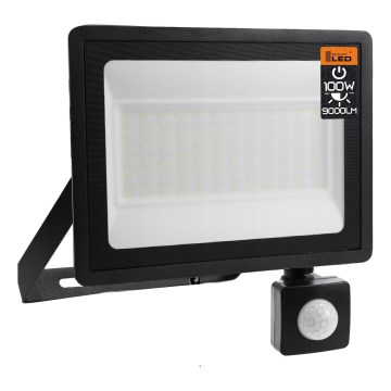 Zunanji LED reflektor 100 W, 230 V, 4500 K, IP65, črn