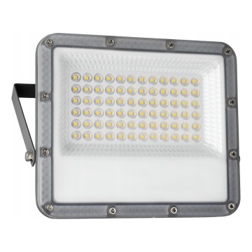 Zunanji LED reflektor LED/50W/230V 4500K IP65 siva