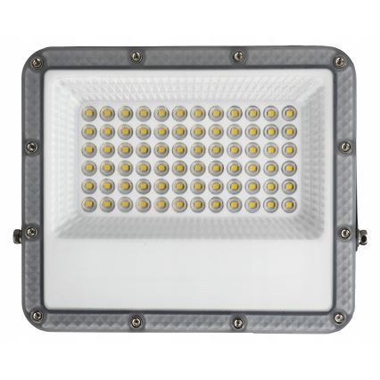 Zunanji LED reflektor LED/50W/230V 4500K IP65 siva