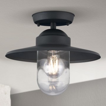 Zunanji nadgradni lestenec EDWARD 1xE27/60W/230V IP44 črna