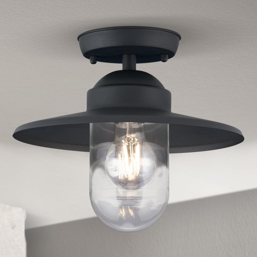 Zunanji nadgradni lestenec EDWARD 1xE27/60W/230V IP44 črna